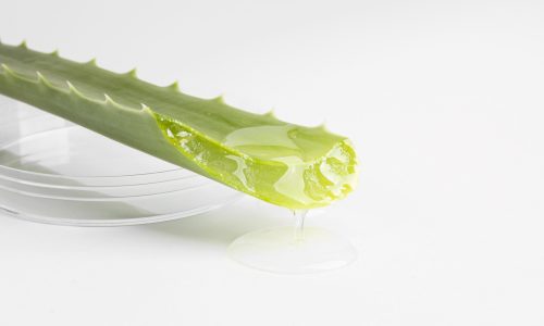 close-up-view-aloe-vera-beauty-concept