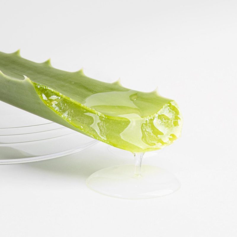 close-up-view-aloe-vera-beauty-concept